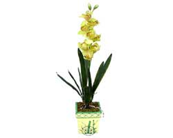 zel Yapay Orkide Sari  zmit internetten iek siparii 