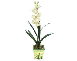 zel Yapay Orkide Beyaz   zmit iekiler 