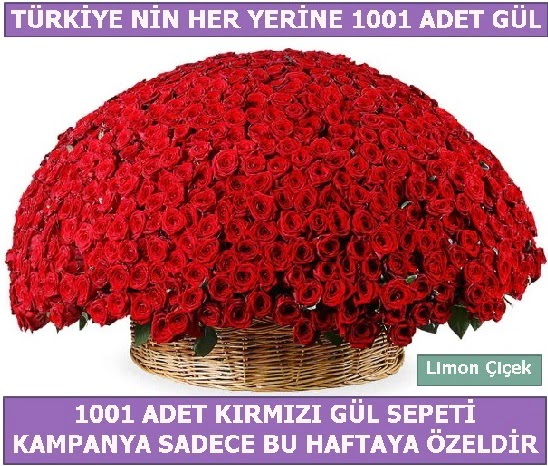 1001 Adet kırmızı gül Bu haftaya özel  İzmit çiçek siparişi vermek 