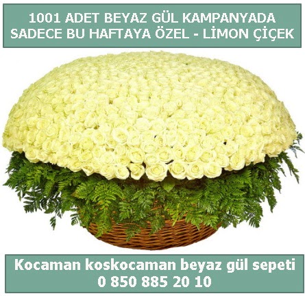 1001 adet beyaz gül sepeti özel kampanyada  İzmit online çiçek gönderme sipariş 