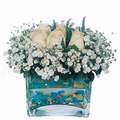 mika ve beyaz gül renkli taslar   İzmit 14 şubat sevgililer günü çiçek 