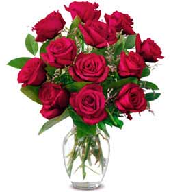  İzmit çiçek yolla , çiçek gönder , çiçekçi   1 düzine kirmizi gül sevenlere özel vazo gülleri