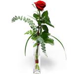  İzmit uluslararası çiçek gönderme  1 adet kirmizi gül cam yada mika vazo içerisinde