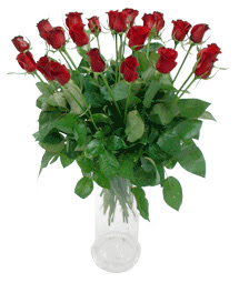  İzmit uluslararası çiçek gönderme  11 adet kimizi gülün ihtisami cam yada mika vazo modeli