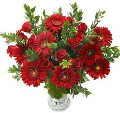 5 adet kirmizi gül 5 adet gerbera aranjmani  İzmit çiçek online çiçek siparişi 