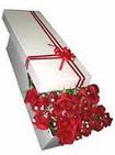  İzmit uluslararası çiçek gönderme  11 adet 1.kalite magnum güller