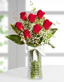 Cam vazoda 7 adet kırmızı gül  İzmit anneler günü çiçek yolla 