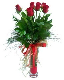 vazo içerisinde 5 kırmızı gül  İzmit çiçek siparişi sitesi 